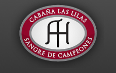 Cabañas las Lilas