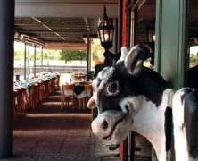 Siga La Vaca