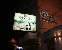 Haras-Rosario-Google-Search