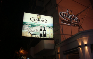 Haras-Rosario-Google-Search